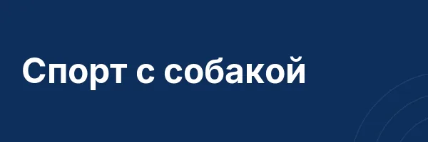 Спорт с собакой