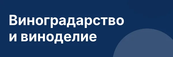 Виноградарство и виноделие