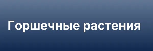 Горшечные растения