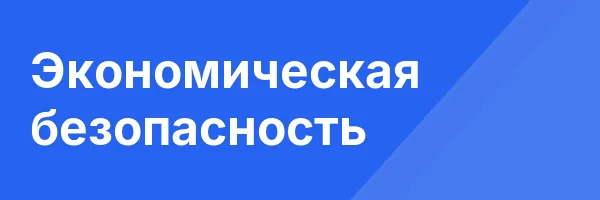 Экономическая безопасность
