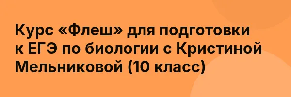 Курс «Флеш» для подготовки к ЕГЭ по биологии с Кристиной Мельниковой (10 класс)