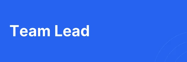 Team Lead