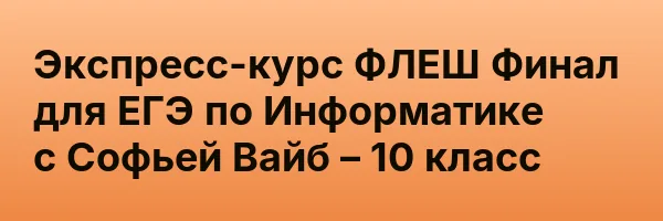 Экспресс-курс ФЛЕШ Финал для ЕГЭ по Информатике с Софьей Вайб – 10 класс
