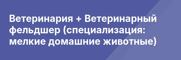 Ветеринария + Ветеринарный фельдшер (специализация: мелкие домашние животные)