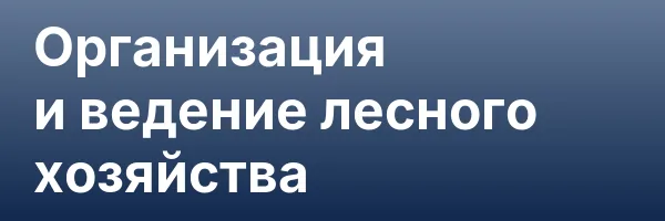 Организация и ведение лесного хозяйства