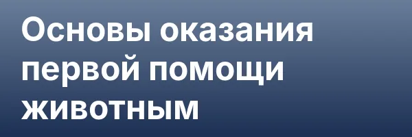 Основы оказания первой помощи животным