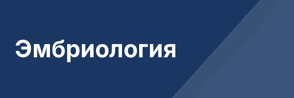 Эмбриология