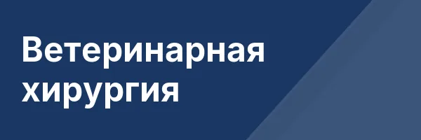 Ветеринарная хирургия