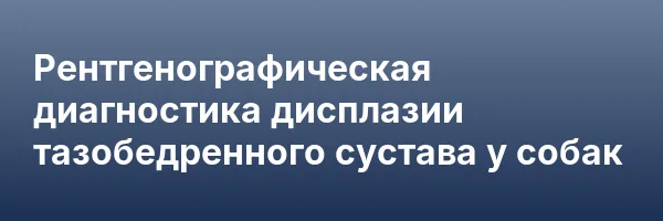 Рентгенографическая диагностика дисплазии тазобедренного сустава у собак