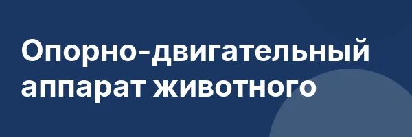 Опорно-двигательный аппарат животного
