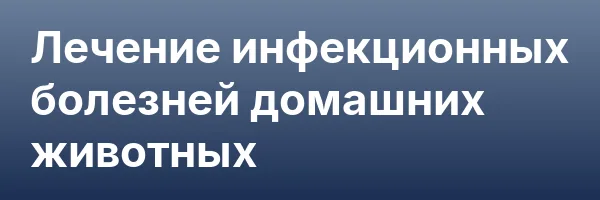 Лечение инфекционных болезней домашних животных