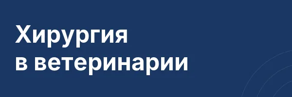 Хирургия в ветеринарии