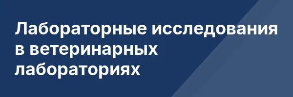 Лабораторные исследования в ветеринарных лабораториях