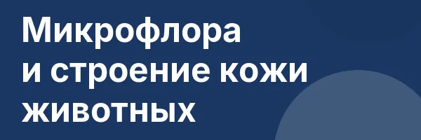 Микрофлора и строение кожи животных