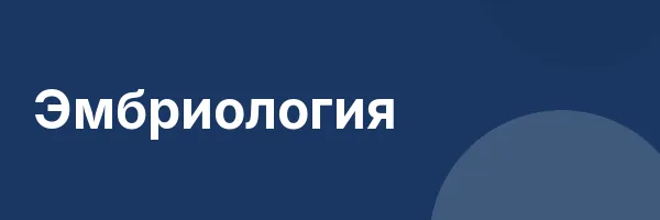 Эмбриология