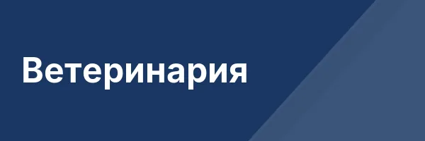 Ветеринария