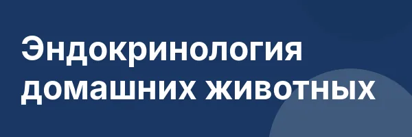 Эндокринология домашних животных