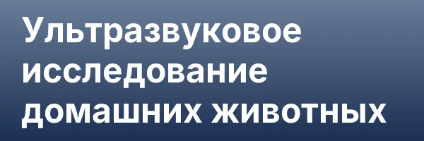 Ультразвуковое исследование домашних животных