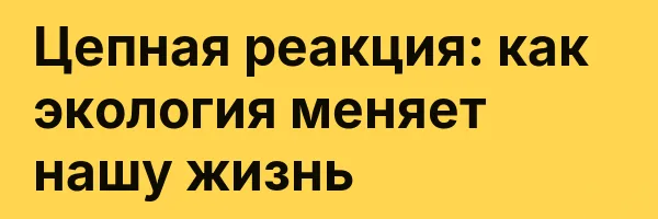 Цепная реакция: как экология меняет нашу жизнь
