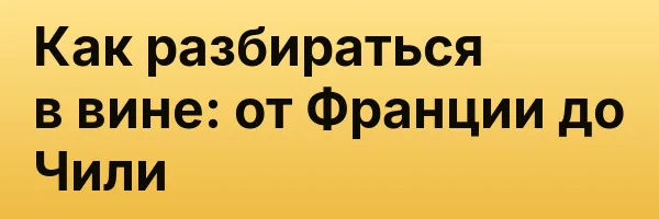 Как разбираться в вине: от Франции до Чили