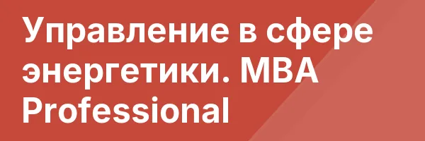 Управление в сфере энергетики. MBA Professional