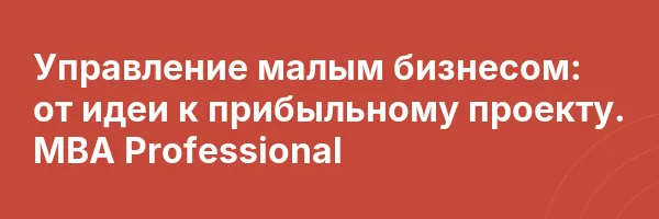 Управление малым бизнесом: от идеи к прибыльному проекту. MBA Professional