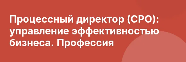Процессный директор (CPO): управление эффективностью бизнеса. Профессия
