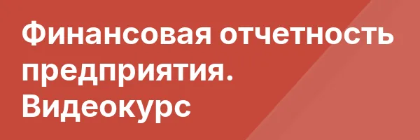 Финансовая отчетность предприятия. Видеокурс