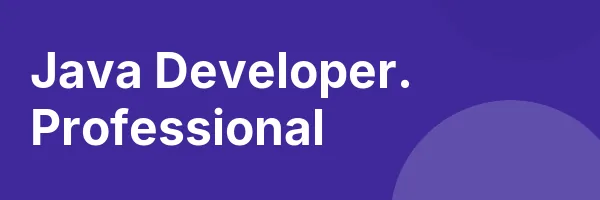 Java Developer. Professional