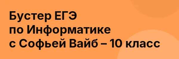 Бустер ЕГЭ по Информатике с Софьей Вайб – 10 класс