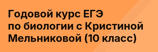 Годовой курс ЕГЭ по биологии с Кристиной Мельниковой (10 класс)