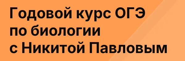 Годовой курс ОГЭ по биологии с Никитой Павловым