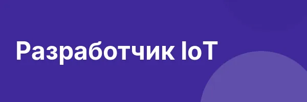 Разработчик IoT