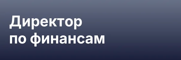 Директор по финансам