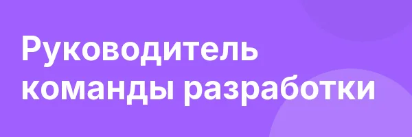Руководитель команды разработки