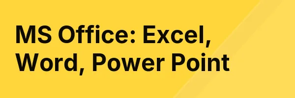 MS Office: Excel, Word, Power Point