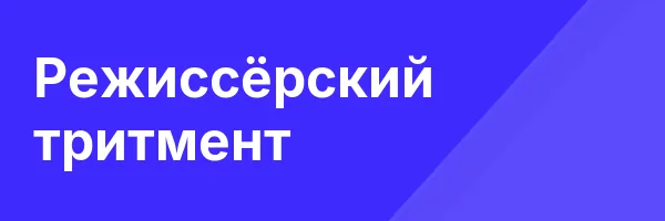 Режиссёрский тритмент