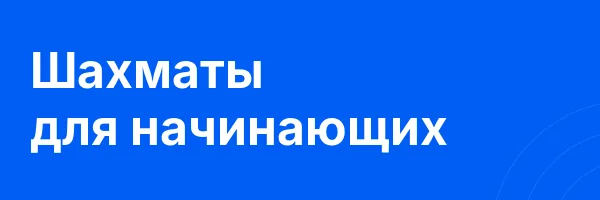 Шахматы для начинающих