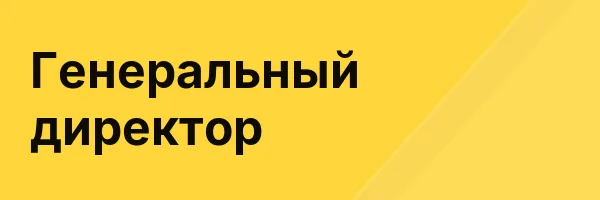 Генеральный директор