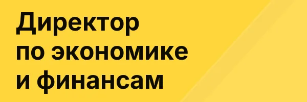 Директор по экономике и финансам