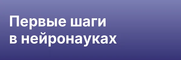 Первые шаги в нейронауках