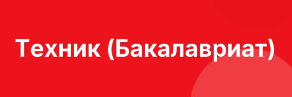 Техник (Бакалавриат)