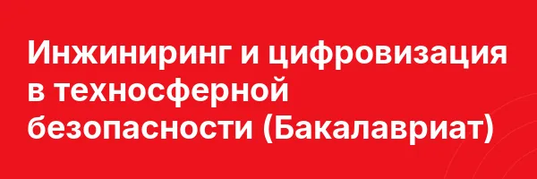 Инжиниринг и цифровизация в техносферной безопасности (Бакалавриат)