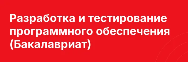 Разработка и тестирование программного обеспечения (Бакалавриат)
