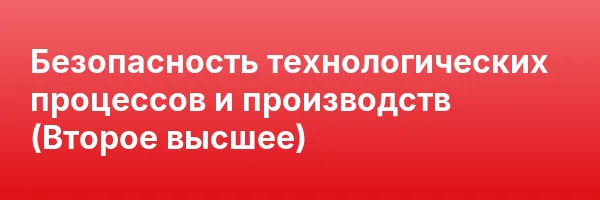 Безопасность технологических процессов и производств (Второе высшее)