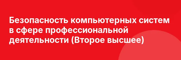 Безопасность компьютерных систем в сфере профессиональной деятельности (Второе высшее)
