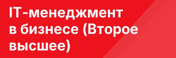 IT-менеджмент в бизнесе (Второе высшее)