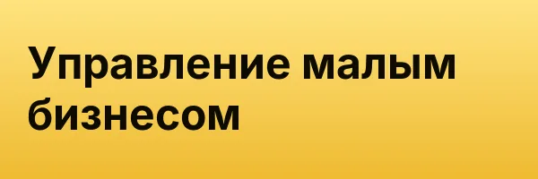 Управление малым бизнесом