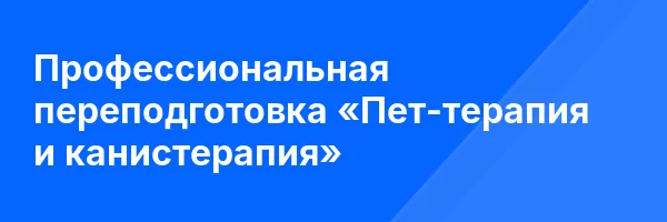 Профессиональная переподготовка «Пет-терапия и канистерапия»