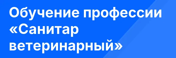 Обучение профессии «Санитар ветеринарный»
